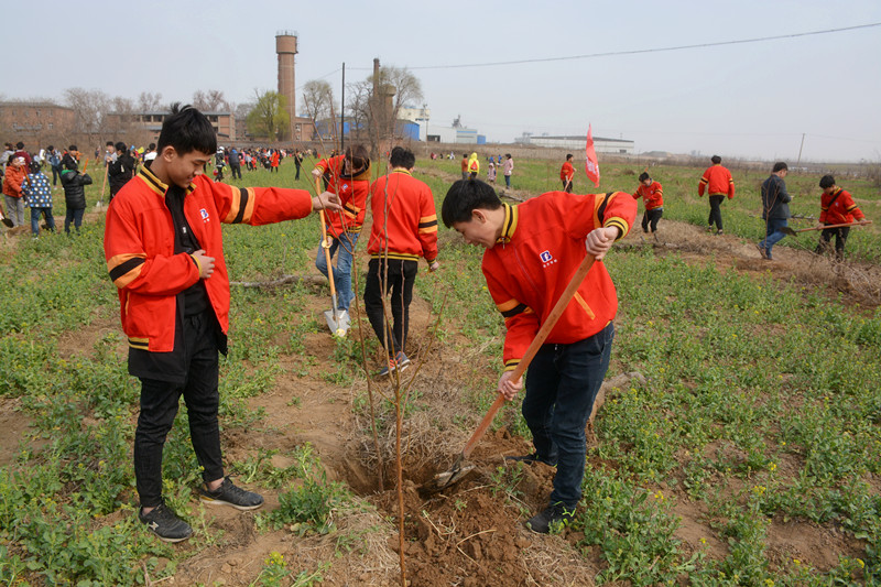邯郸北方学生参加植树
