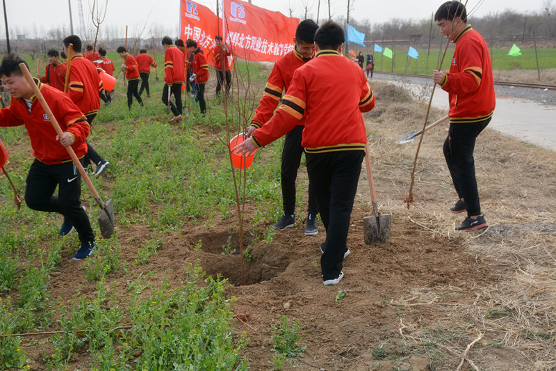 邯郸北方学生参加植树