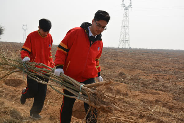 邯郸北方学校学生参加植树